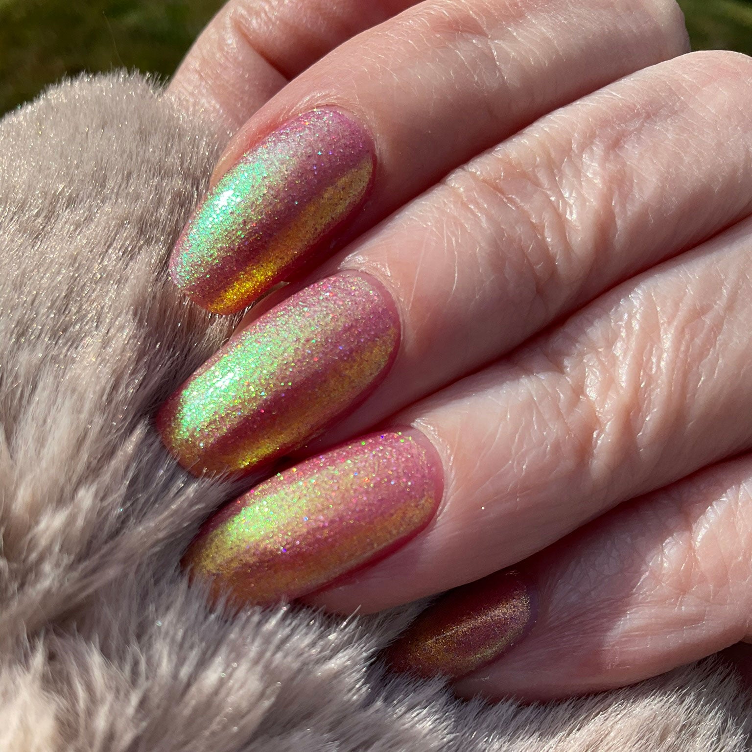 Cindy Lou Who?! (Holo Daze Collection)