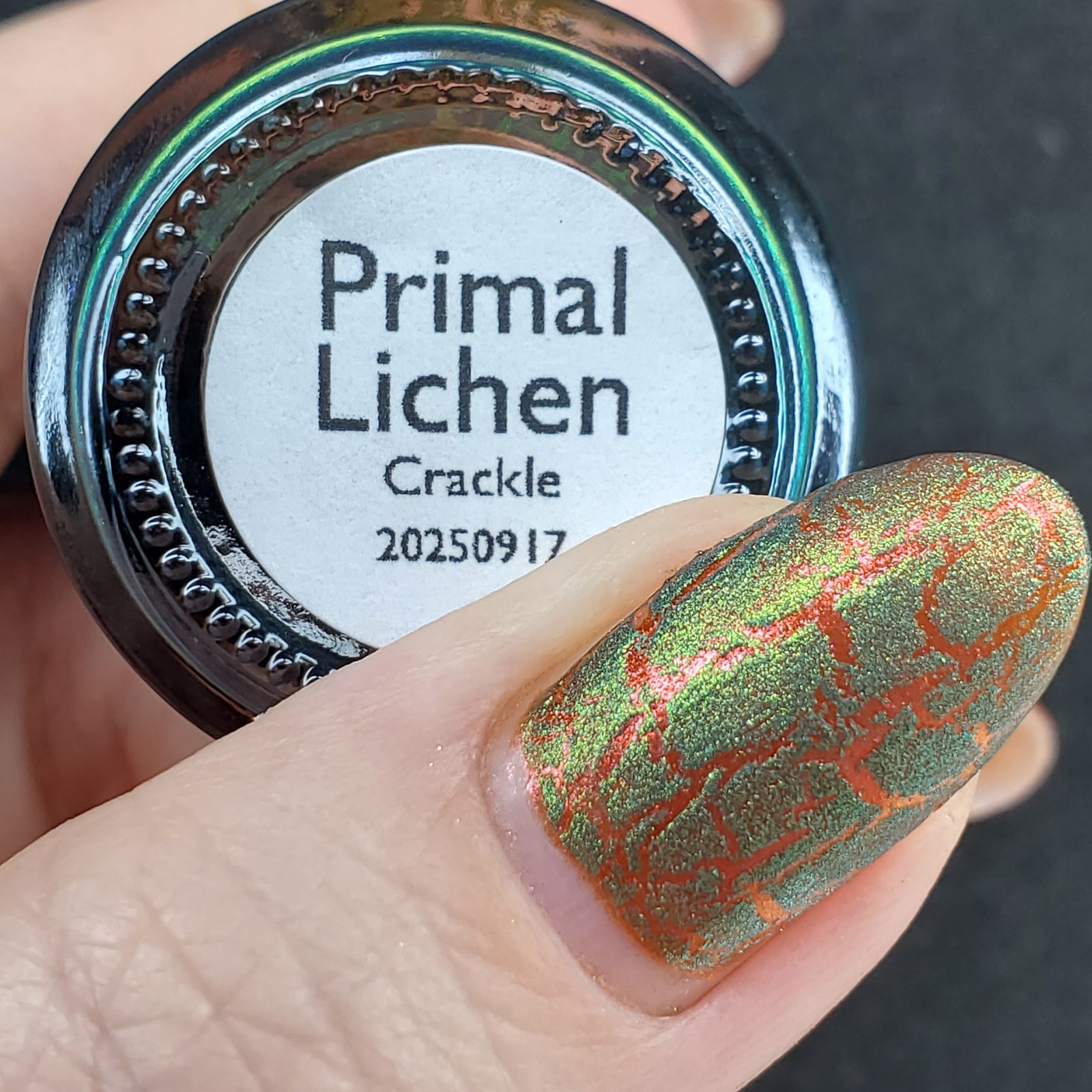 Primal Lichen | Green Crackle Nail Polish