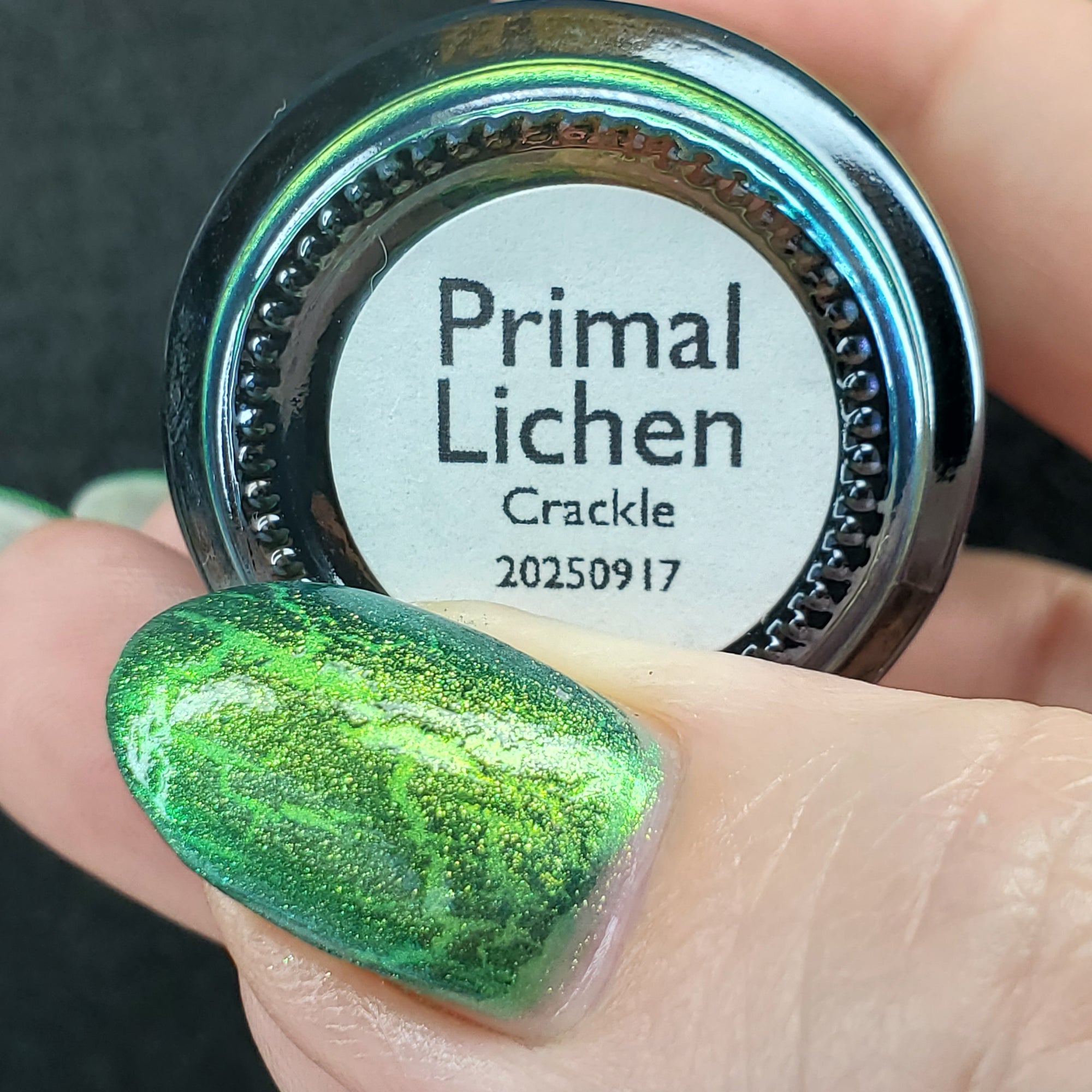 Primal Lichen | Green Crackle Nail Polish