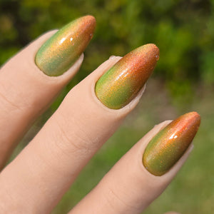 Hard Candy Christmas | Seasonal Tri-Thermal Nail Polish