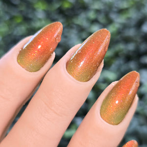 Hard Candy Christmas | Seasonal Tri-Thermal Nail Polish