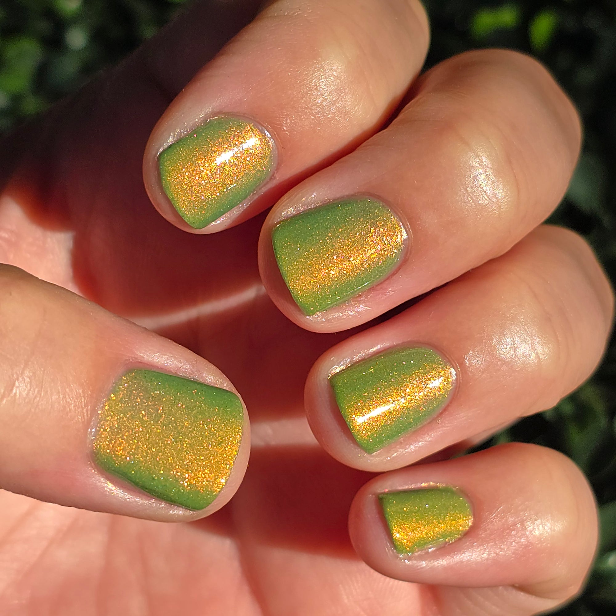 Hard Candy Christmas | Seasonal Tri-Thermal Nail Polish