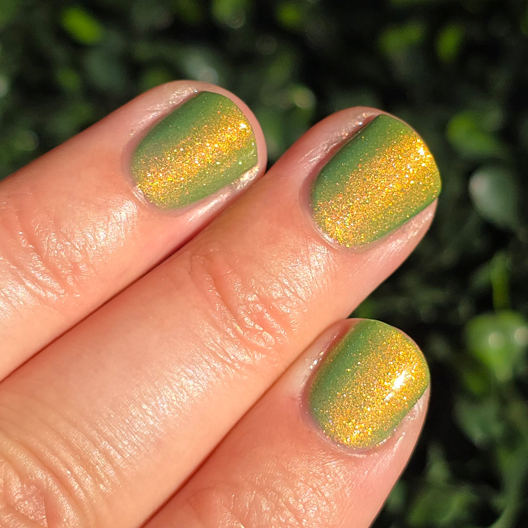 Hard Candy Christmas | Seasonal Tri-Thermal Nail Polish