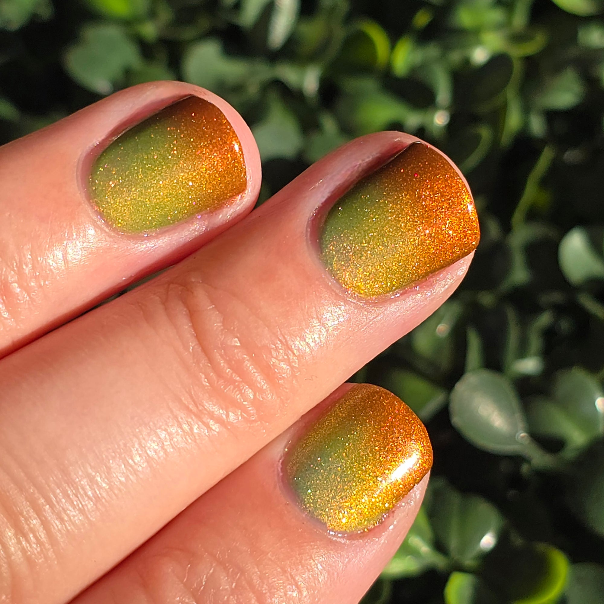 Hard Candy Christmas | Seasonal Tri-Thermal Nail Polish