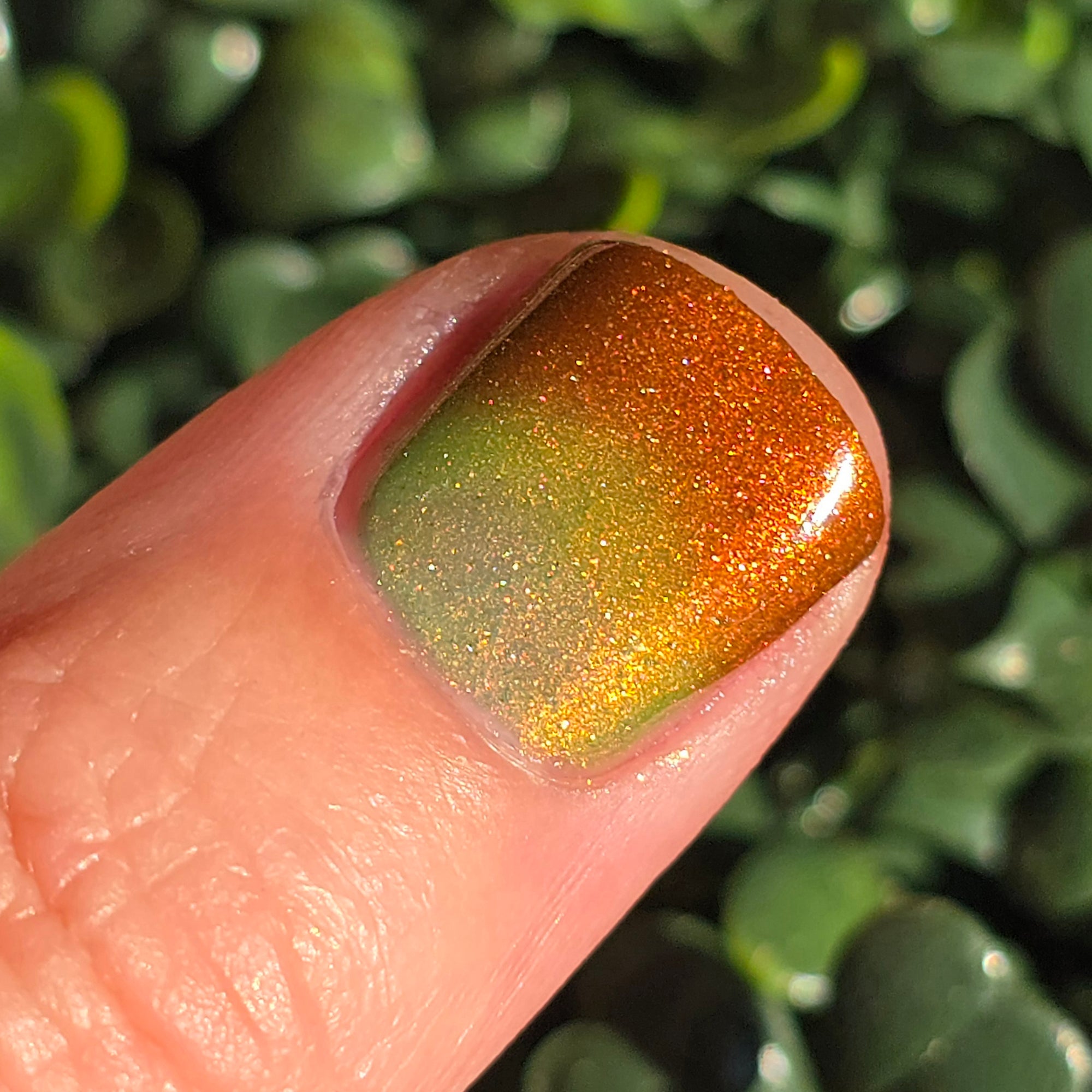 Hard Candy Christmas | Seasonal Tri-Thermal Nail Polish