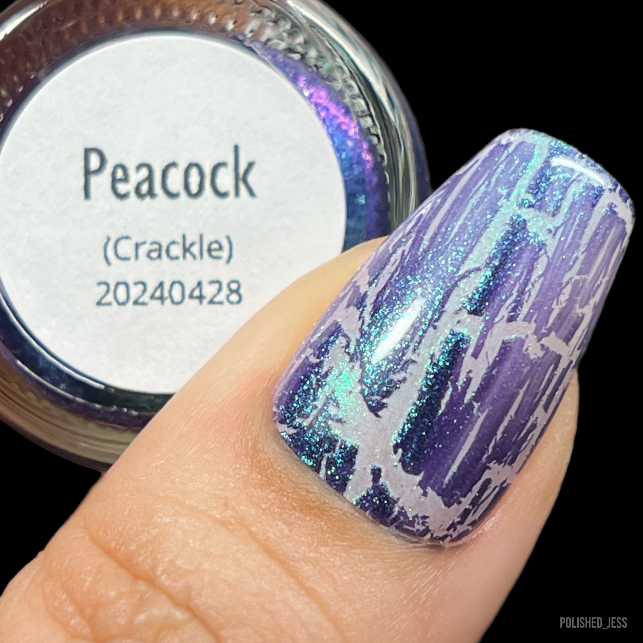 Glamorous 2025 Peacock Nail Trend