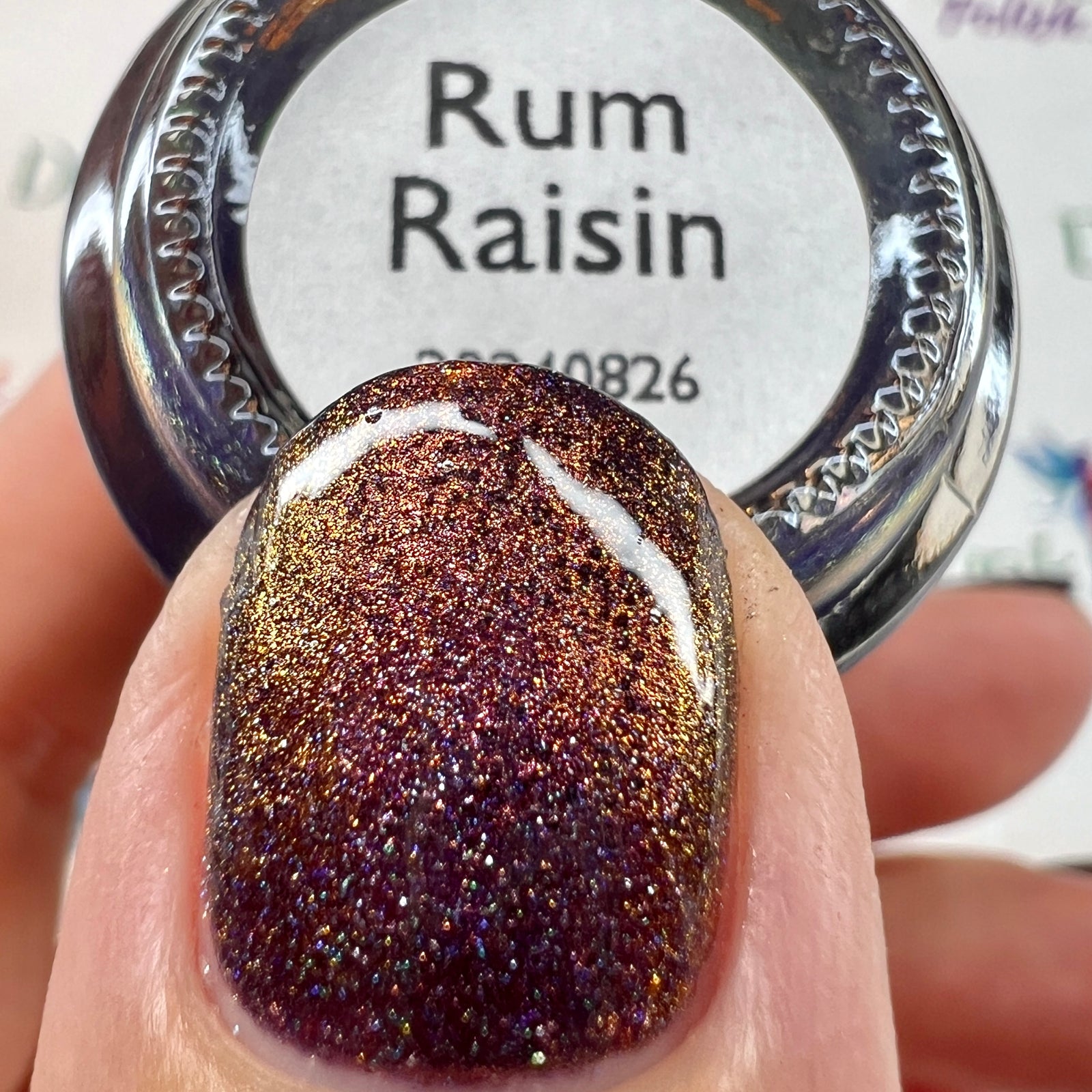 Rum Raisin | Aurora Holo Jelly Nail Polish