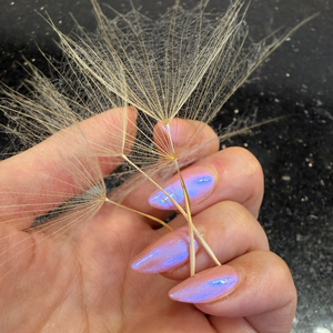 Wisdom | Aurora Shimmer Nail Polish Topper
