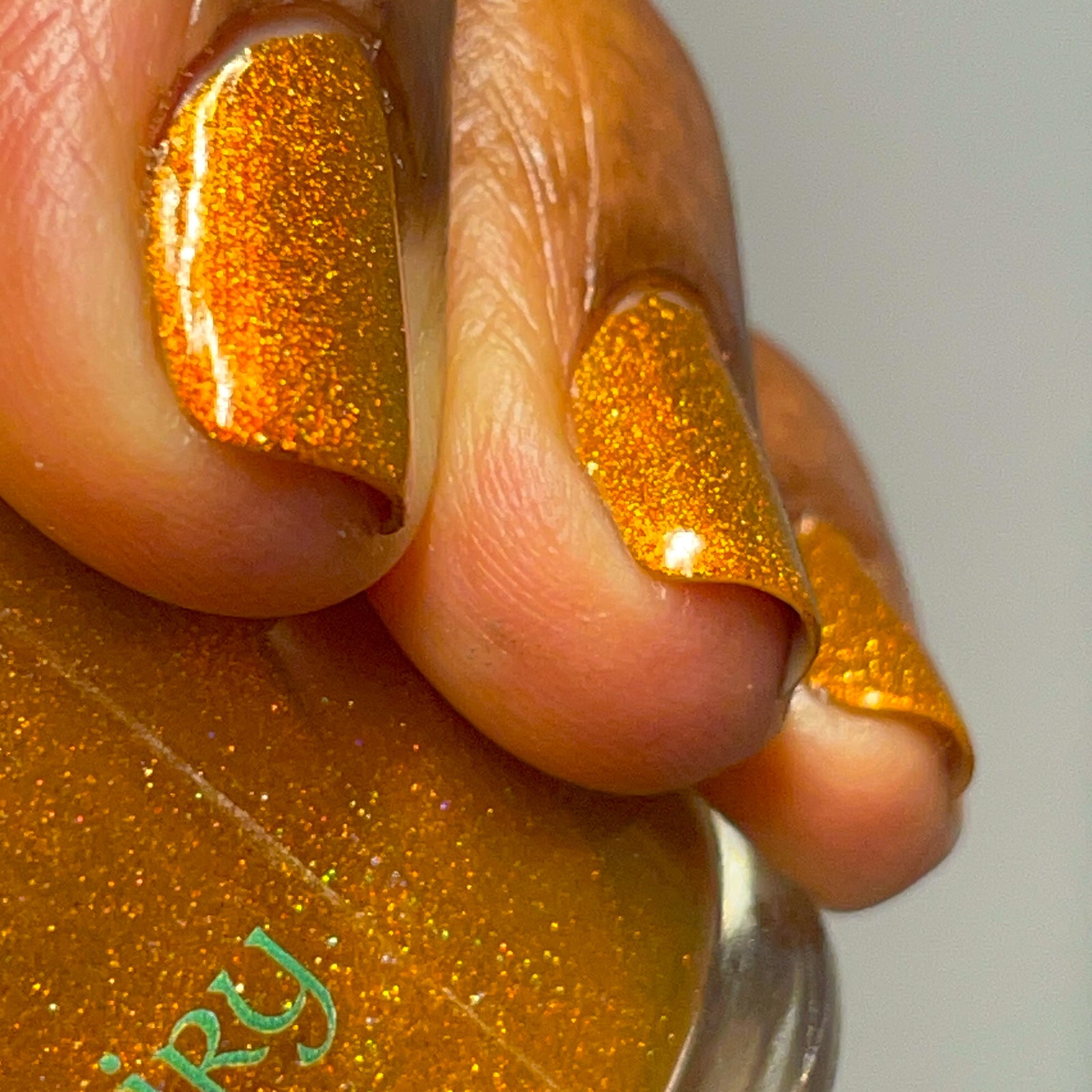 The Pun King | Scattered Holo Nail Polish